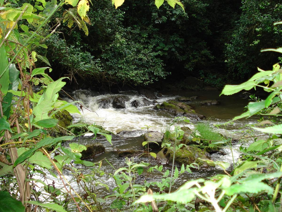 Koi Koi, Fort Portal Kasusu Esterno foto