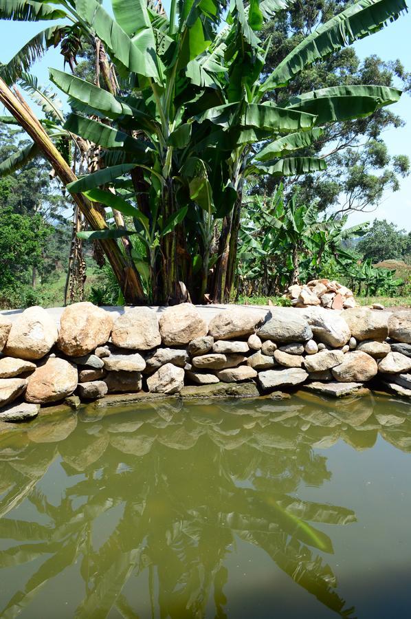 Koi Koi, Fort Portal Kasusu Esterno foto